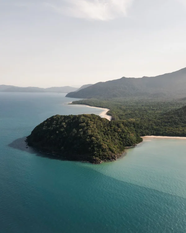 photo de drone sur la fôret primaire d'australie