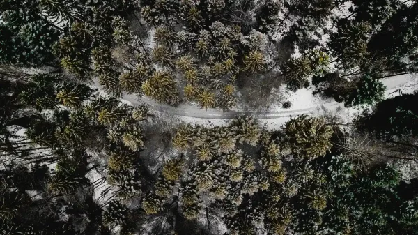 photo de drone vue sur une foret enneigé